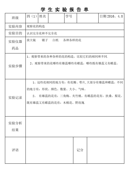 观察花的构造实验报告单10