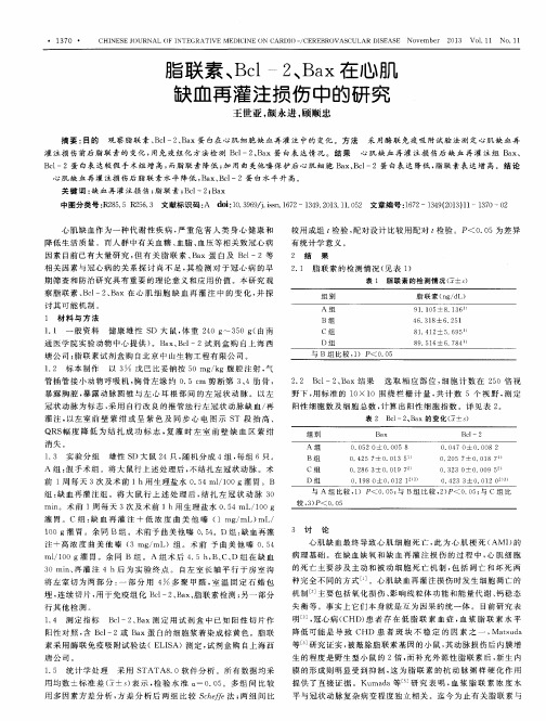 脂联素、Bcl -2、Bax在心肌缺血再灌注损伤中的研究