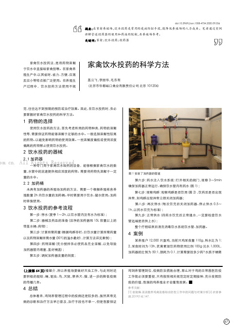 家禽饮水投药的科学方法