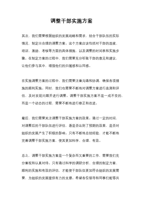 调整干部实施方案