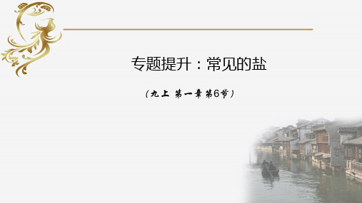 常见的盐(提升专题)(2021年初二科学浙教版)