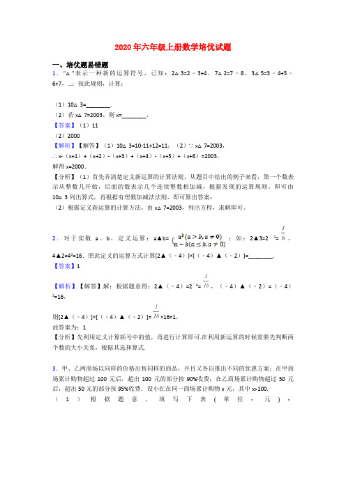 2020年六年级上册数学培优试题