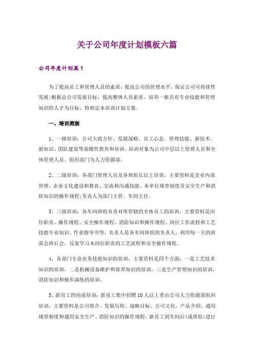 关于公司年度计划模板六篇