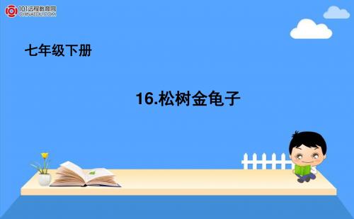 七年级下册16.松树金龟子课件1