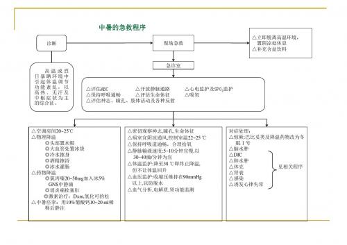 各种抢救流程图PPT课件