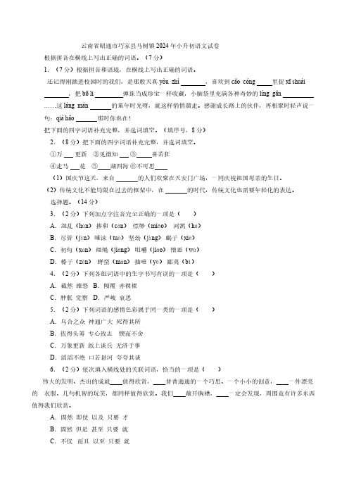 云南省昭通市巧家县马树镇2024年小升初语文试卷(含答案)