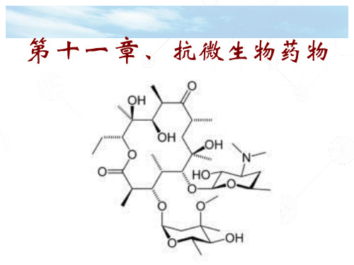 第2章-3大环内酯