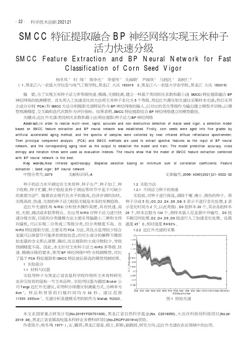 SMCC特征提取融合BP神经网络实现玉米种子活力快速分级