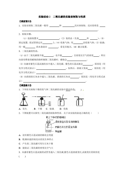 实验活动二氧化碳的实验室制取与性质练习