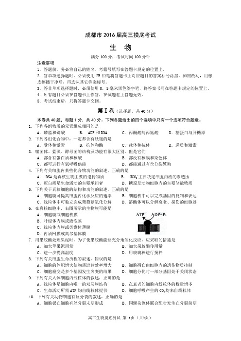 成都市2016届高三摸底(零诊)考试生物试题-Word版含答案