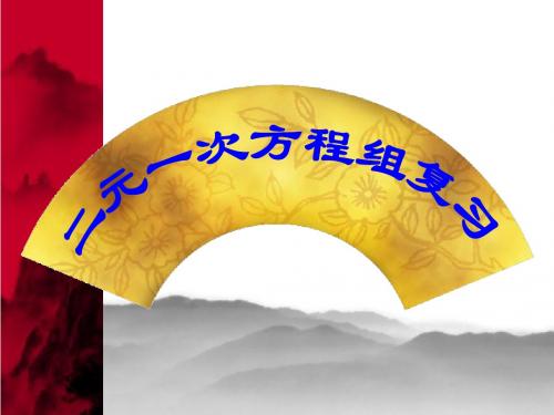 人教版数学七年级下册第八章二元一次方程组复习课件(共24张PPT)