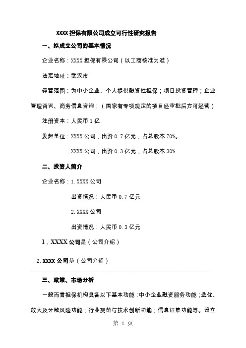 XXX担保公司可行性报告word资料18页