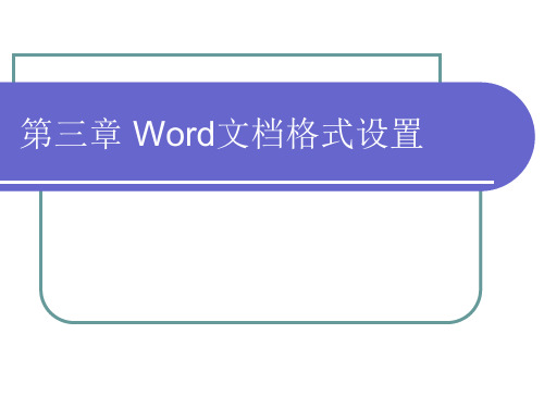 Word文档格式设置