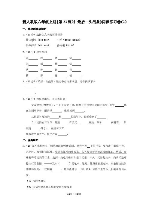 新人教版六年级(上)《第23课时 最后一头战象》同步练习卷(2)