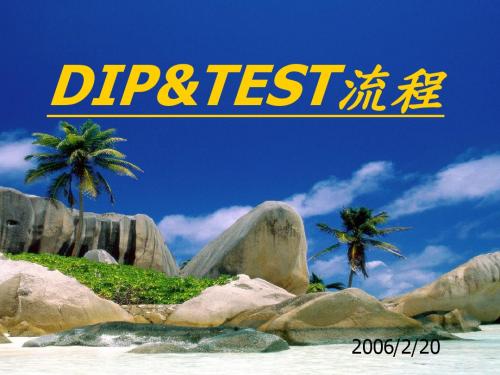 DIP流程