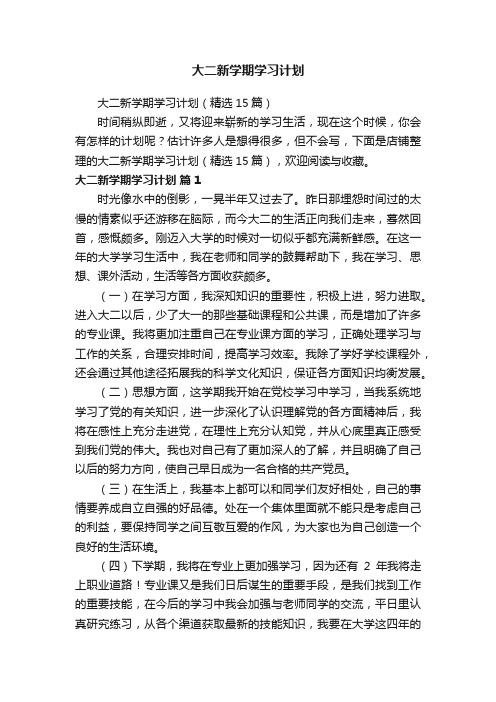 大二新学期学习计划