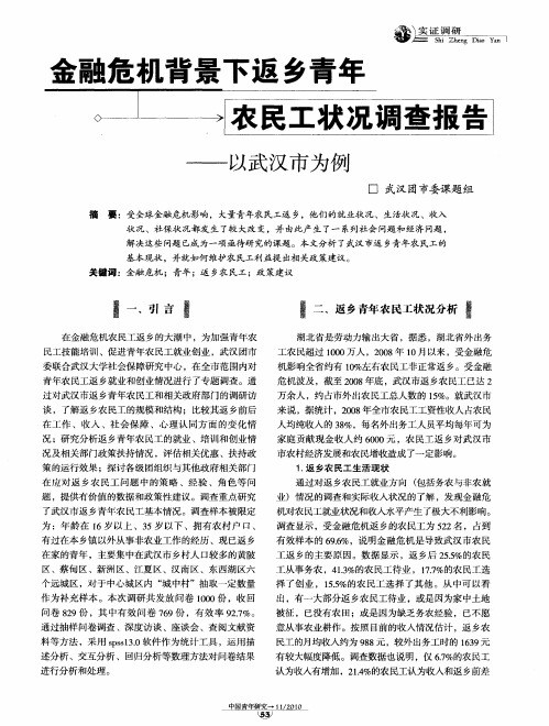 金融危机背景下返乡青年农民工状况调查报告——以武汉市为例