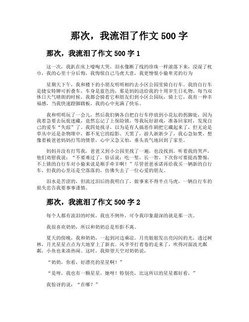 那次我流泪了作文500字