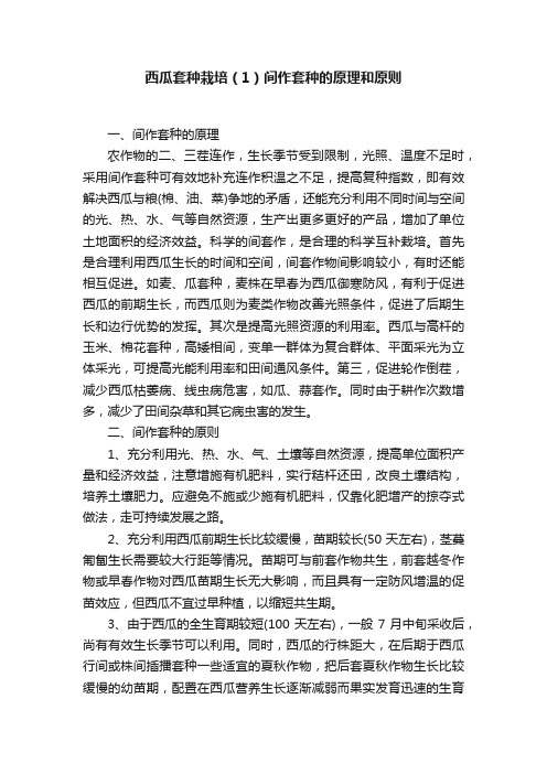 西瓜套种栽培（1）间作套种的原理和原则