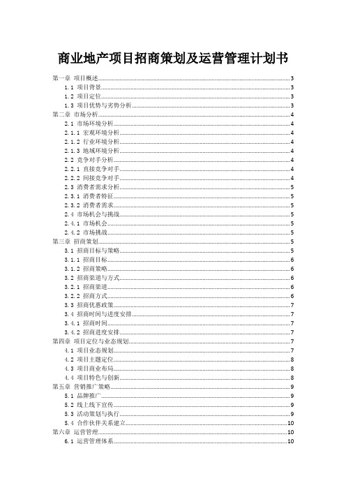 商业地产项目招商策划及运营管理计划书