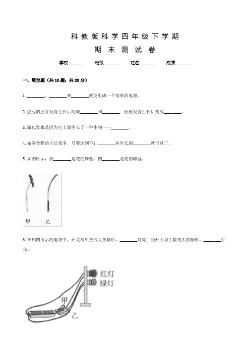 科教版四年级下册科学《期末考试试题》及答案