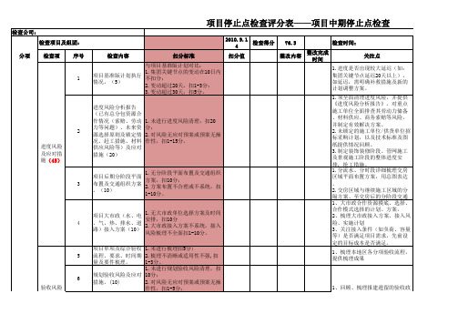 中期停止点风险评估检查表