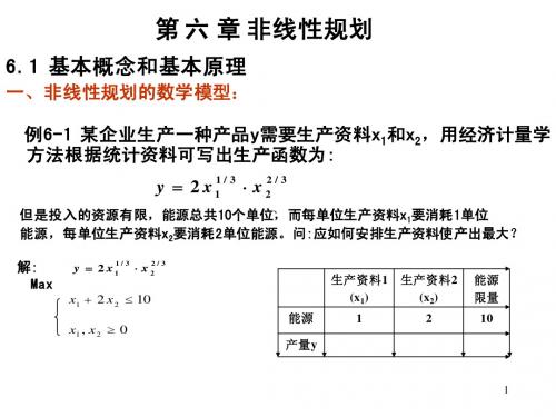 第6章非线性规划