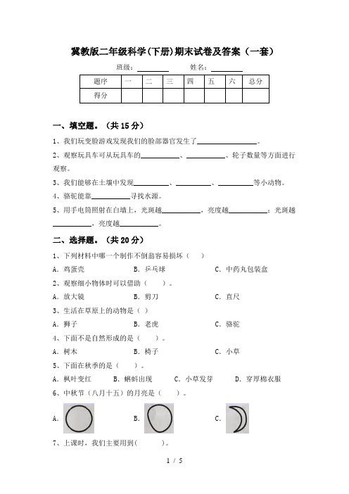 冀教版二年级科学(下册)期末试卷及答案(一套)