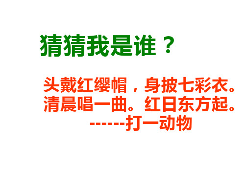 【北师大版】语文一年级下册:16.2《快乐的小公鸡》课件(2)