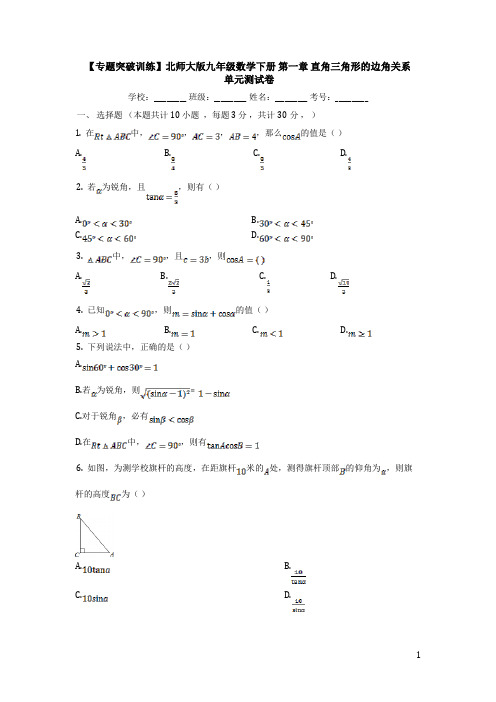 北师大版九年级数学下册第一章《直角三角形的边角关系》专题突破单元检测试卷(含答案)