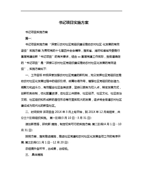 书记项目实施方案实施计划书