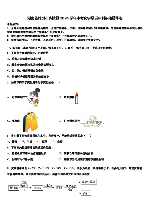 湖南省株洲市炎陵县2024届中考化学最后冲刺浓缩精华卷含解析