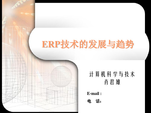 ERP技术的发展与趋势精品PPT课件