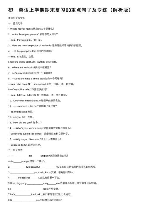 初一英语上学期期末复习03重点句子及专练（解析版）