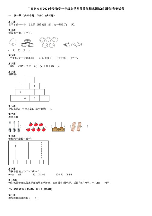 广西崇左市2024小学数学一年级上学期统编版期末测试(自测卷)完整试卷