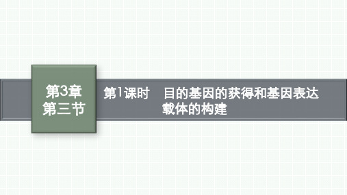 北师版高中生物学选择性必修3生物学技术与工程精品课件第3章第1课时目的基因的获得和基因表达载体的构建