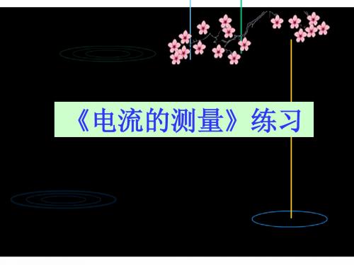 电流的测量练习