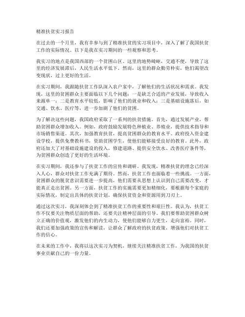 精准扶贫的实习报告