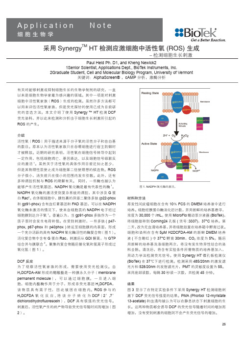 检测细胞生长刺激--采用SynergyTM HT 检测应激细胞中活性氧 (ROS) 生成