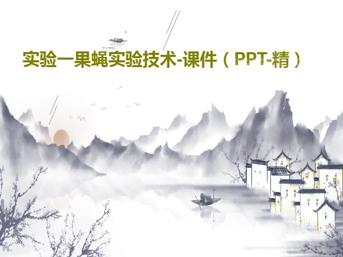 实验一果蝇实验技术-课件(PPT-精)PPT文档共35页