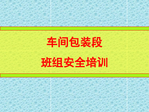 车间包装段班组安全培训教材ppt课件(30张)