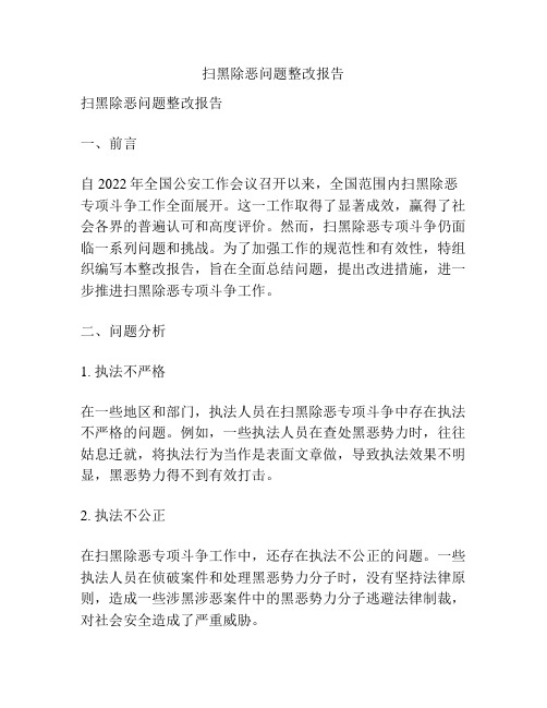 扫黑除恶问题整改报告