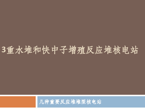 第三章 重水堆和快中子增殖反应堆核电站PPT课件