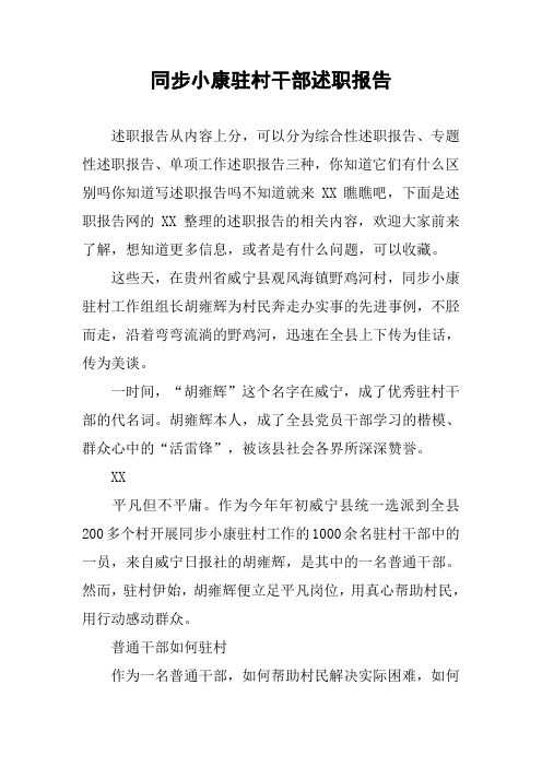 同步小康驻村干部述职报告