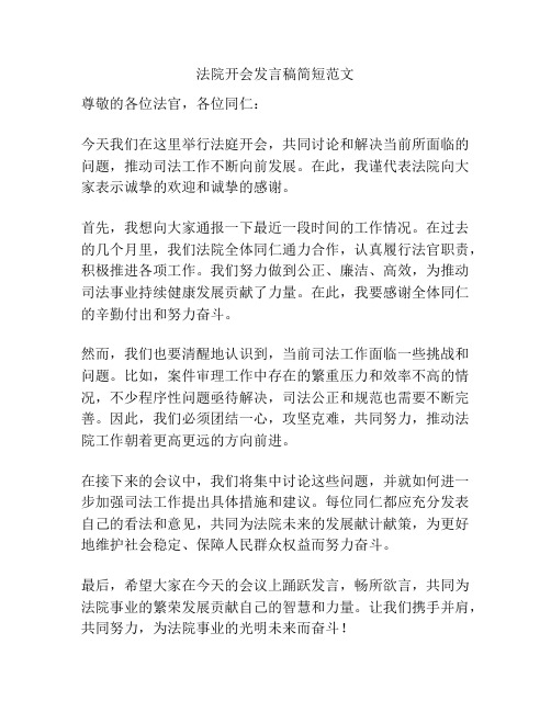 法院开会发言稿简短范文