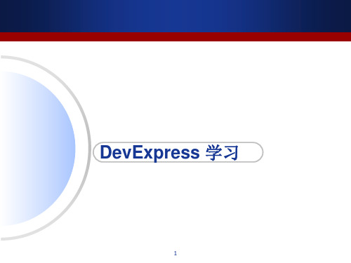 DevExpress控件运用