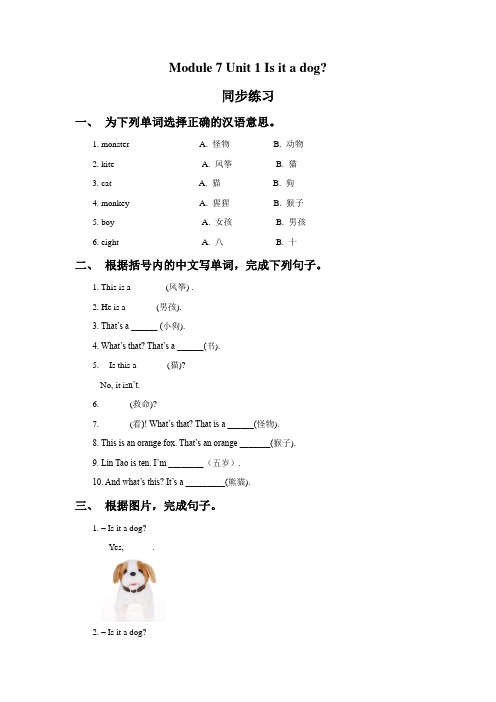 外研版小学英语(一年级起点)上册Module 7 Unit 1 Is it a dog 同步练习3