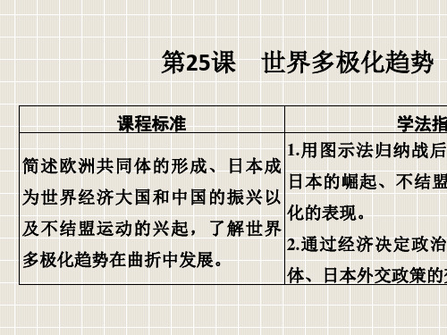 高中历史 第7单元 复杂多样的当代世界 第25课 世界多极化趋势 岳麓版必修1