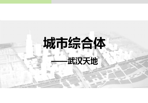 2019年武汉天地案例分析66P