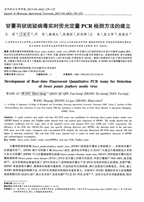 甘薯羽状斑驳病毒实时荧光定量PCR检测方法的建立